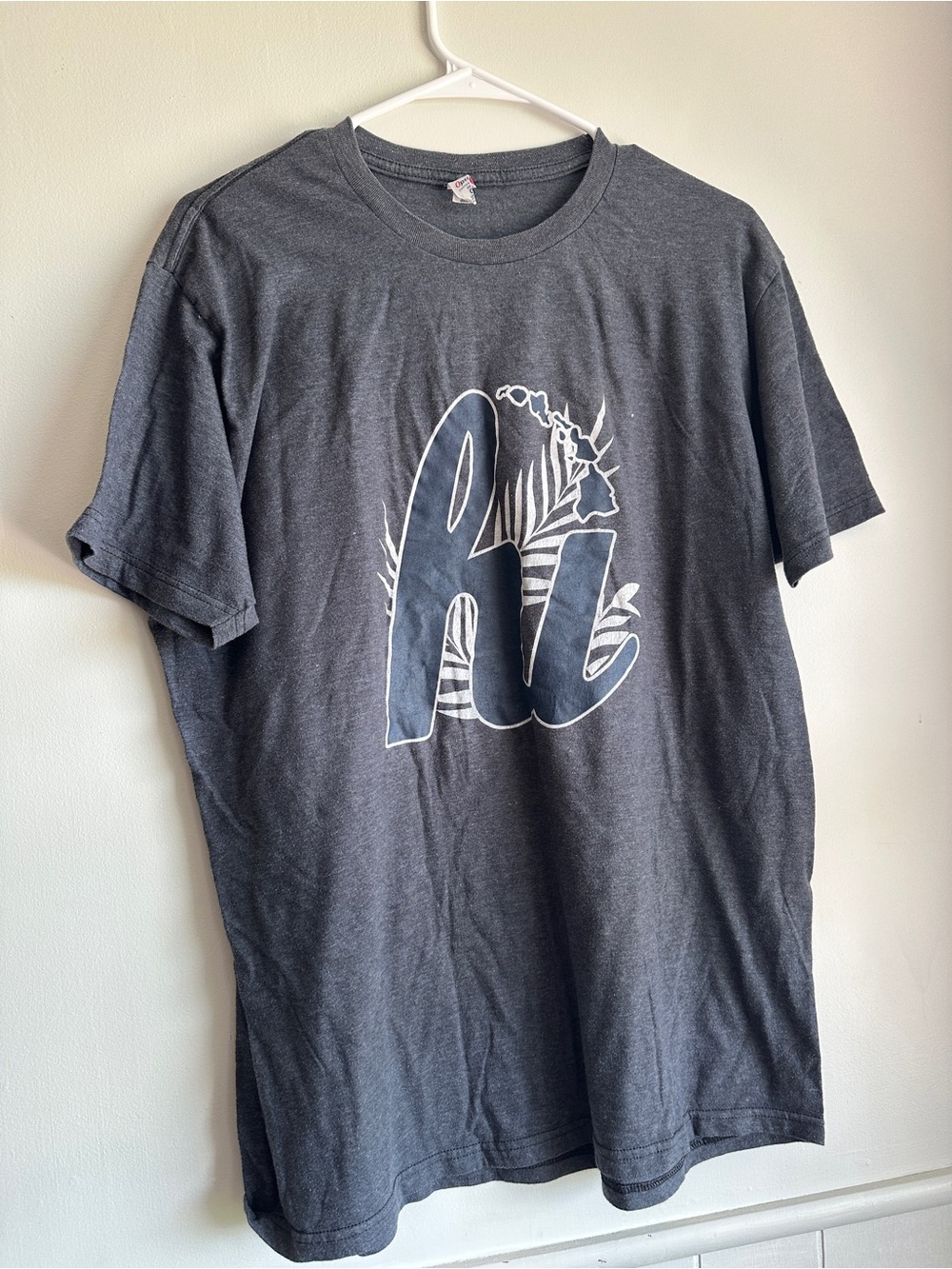 Men's Charcoal Graphic Short-Sleeve Tee with White Accent